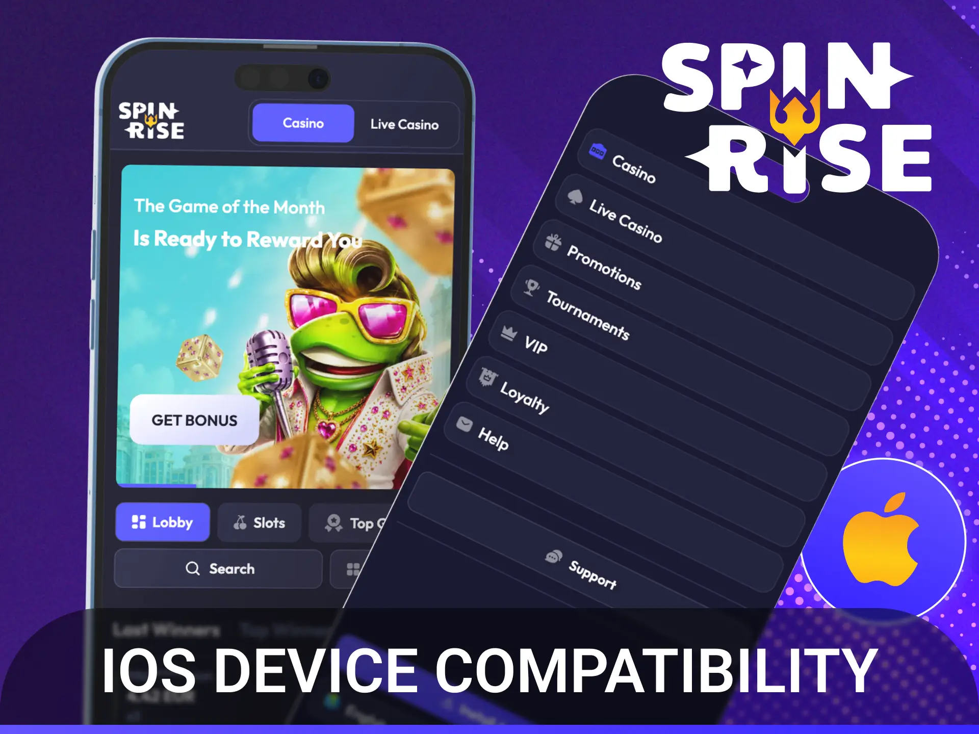 Ensure your iPhone meets the requirements for seamless Spinrise mobile app operation.