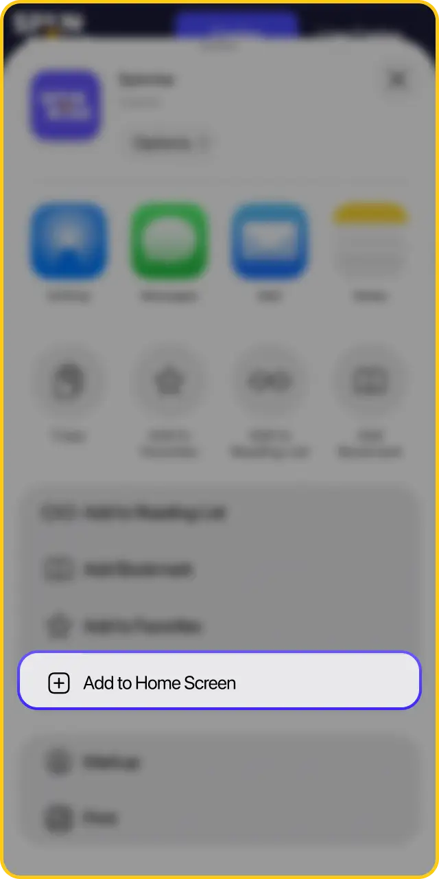 Save the web application to complete your Spinrise app install on iPhone.