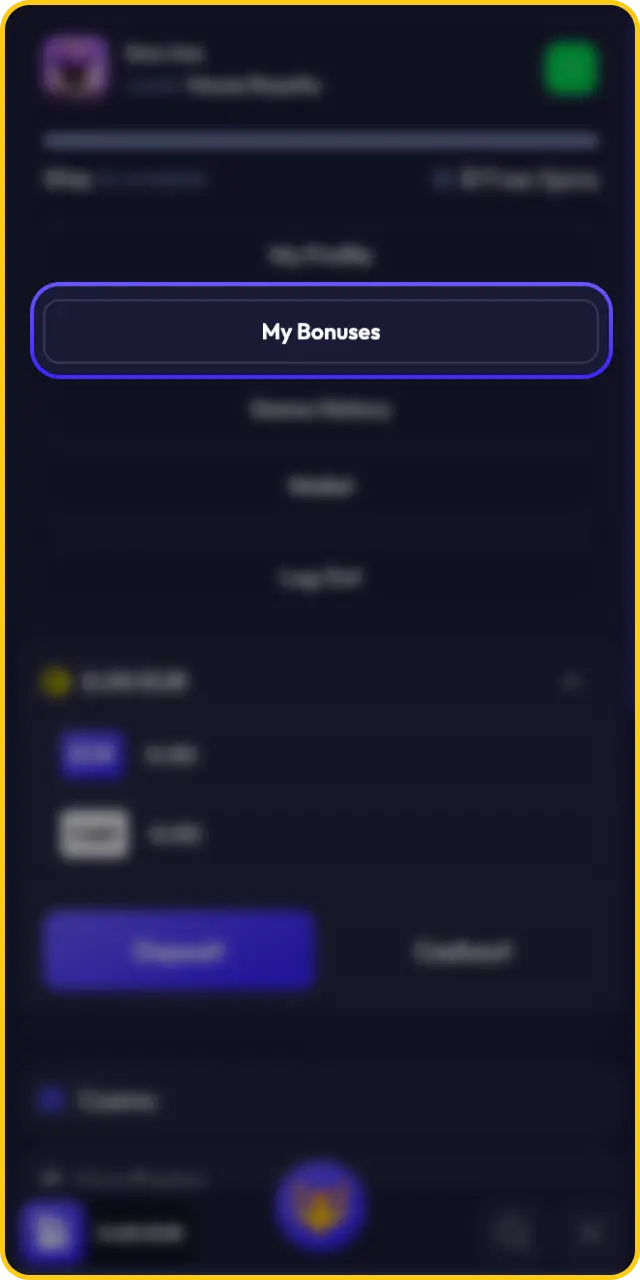 Check your promotional wallet balance to view your active Spinrise welcome bonus.