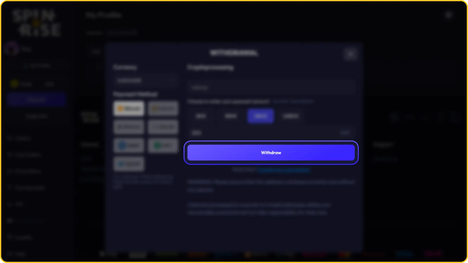 Review and submit your transaction details to finalize the Spinrise withdrawal request.