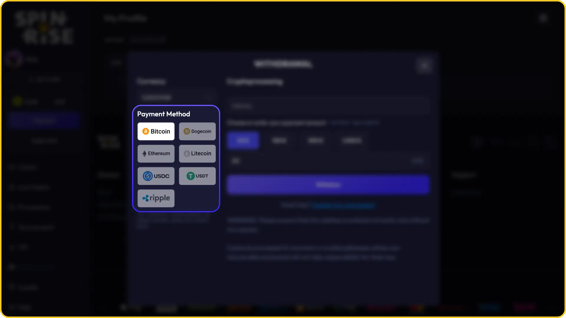 Choose your preferred payout option to continue the Spinrise withdrawal.